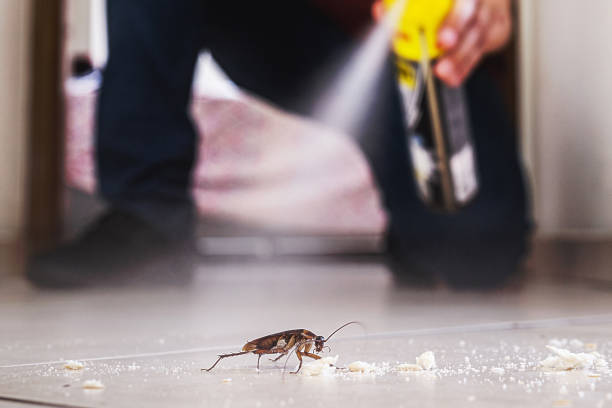Pest Prevention Services in Waltham, MA